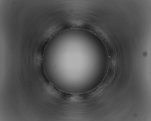 X0000096650468200802051159