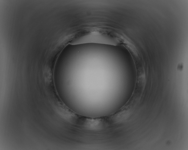 X0000096650469200802051159