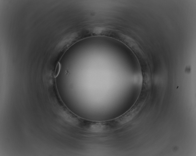 X0000096650470200802051159
