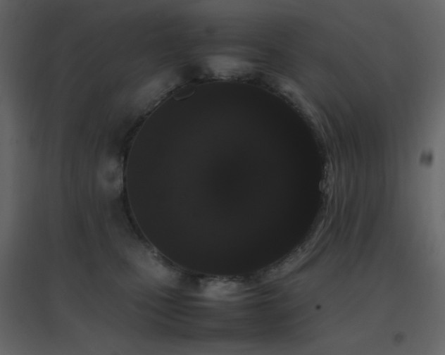 X0000096650471200802051159