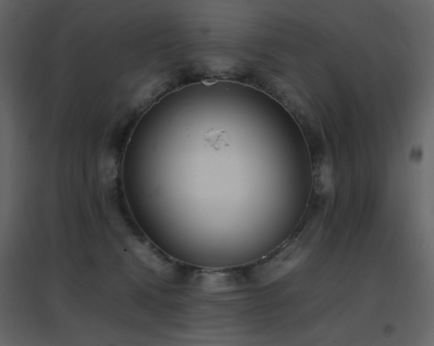 X0000096650472200802051159