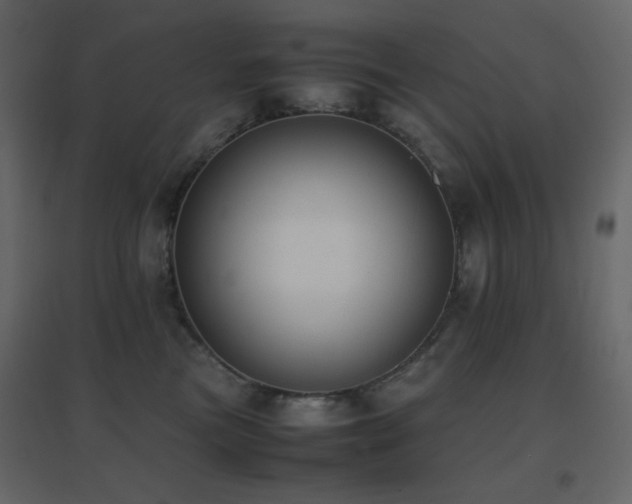X0000096650473200802051159