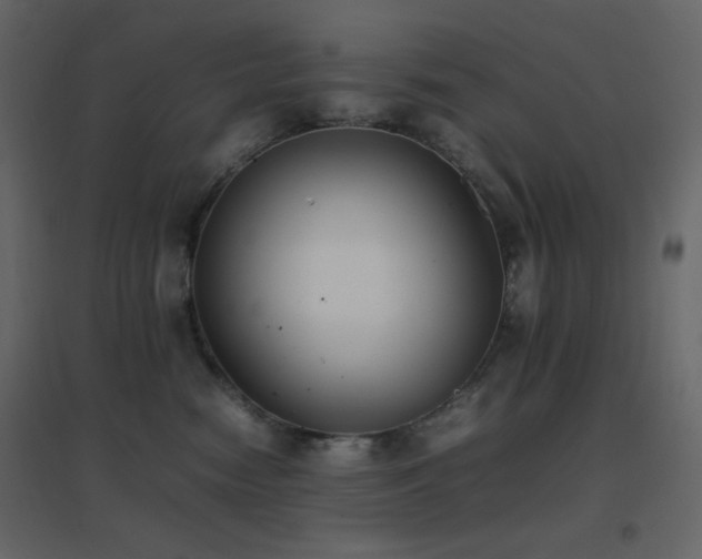 X0000096650474200802051159