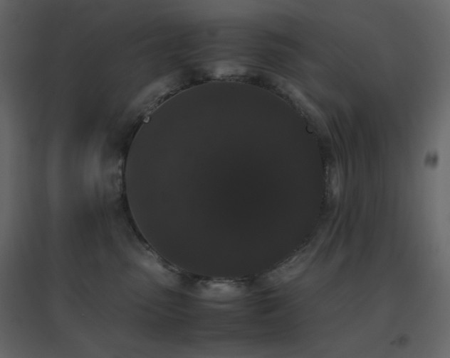 X0000096650475200802051159