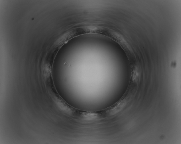 X0000096650476200802051159