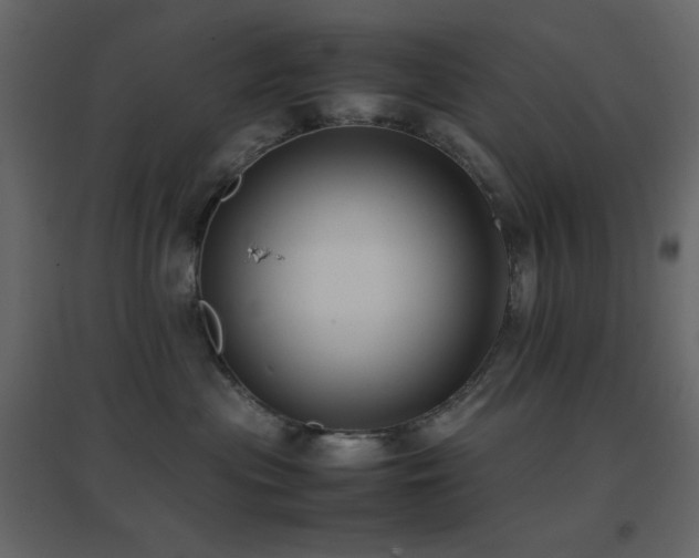 X0000096650477200802051159