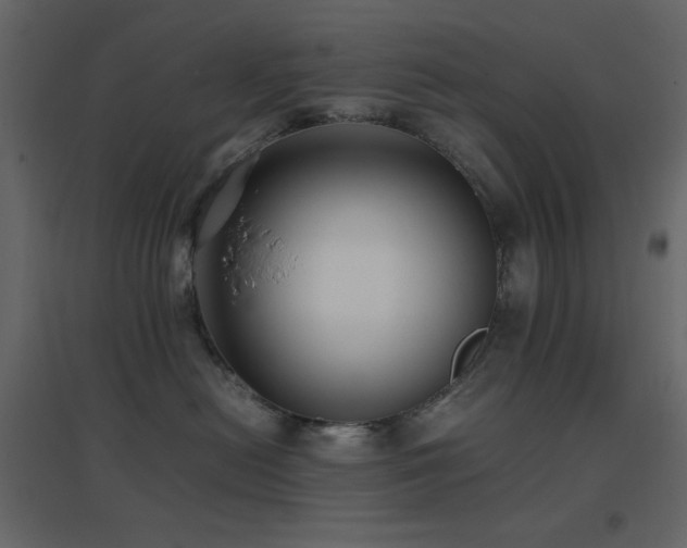 X0000096650478200802051159