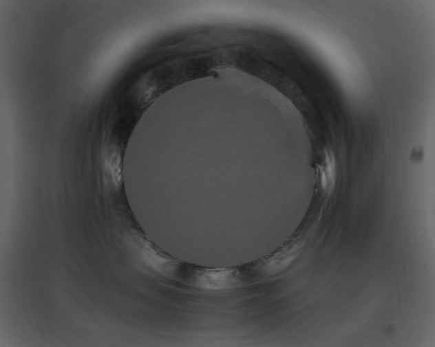 X0000096650479200802051159