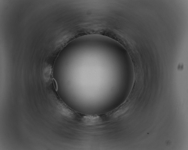 X0000096650480200802051159