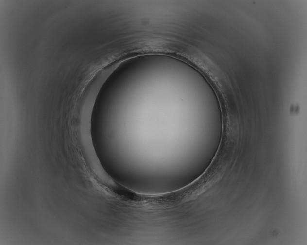 X0000096650481200802051158