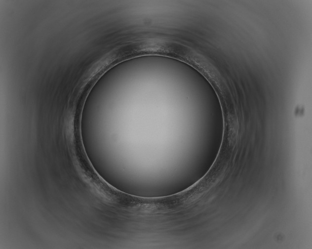 X0000096650482200802051158