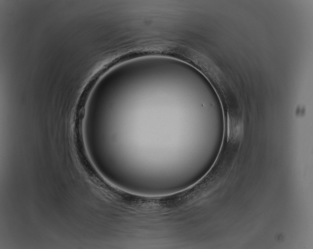 X0000096650483200802051158