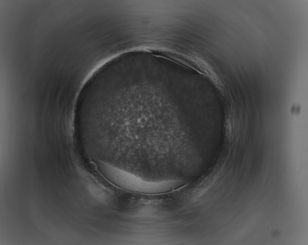 X0000096650484200802051158