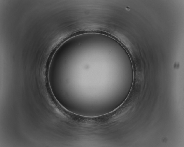 X0000096650485200802051158