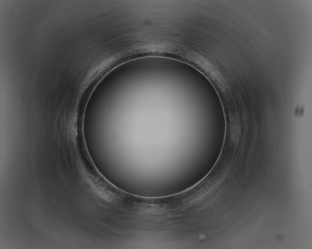 X0000096650486200802051158