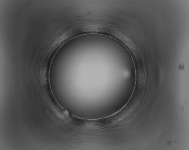 X0000096650489200802051158