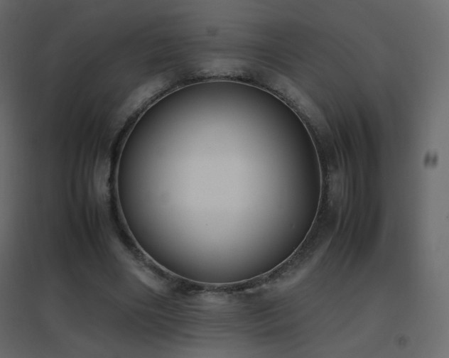 X0000096650490200802051158