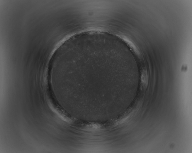X0000096650492200802051158