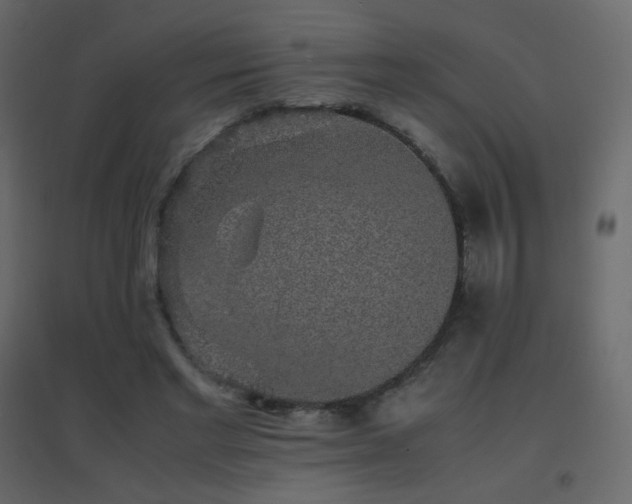 X0000096650493200802051158