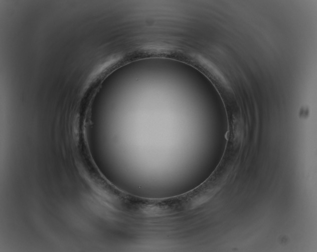 X0000096650494200802051158