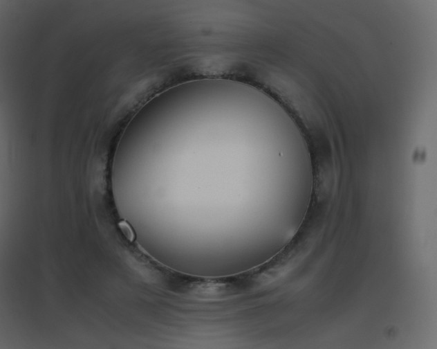 X0000096650497200802051158