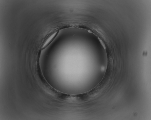X0000096650499200802051158