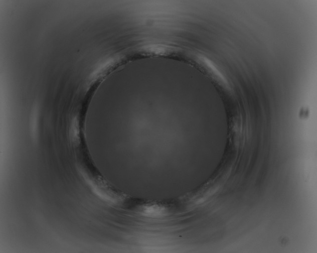 X0000096650500200802051158