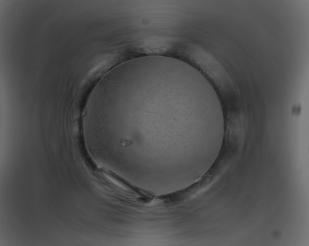 X0000096650501200802051158