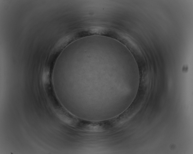 X0000096650502200802051158