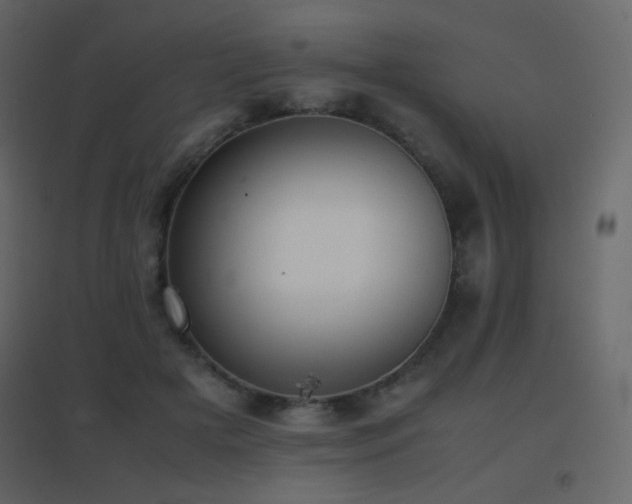 X0000096650505200802051158