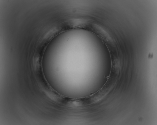 X0000096650506200802051158