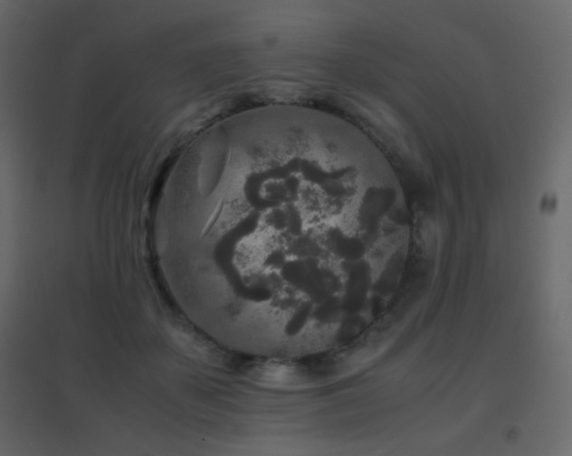 X0000096650507200802051158