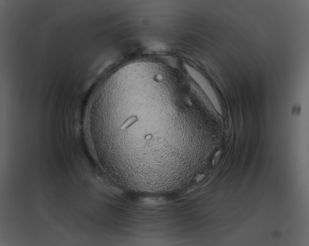 X0000096650508200802051158