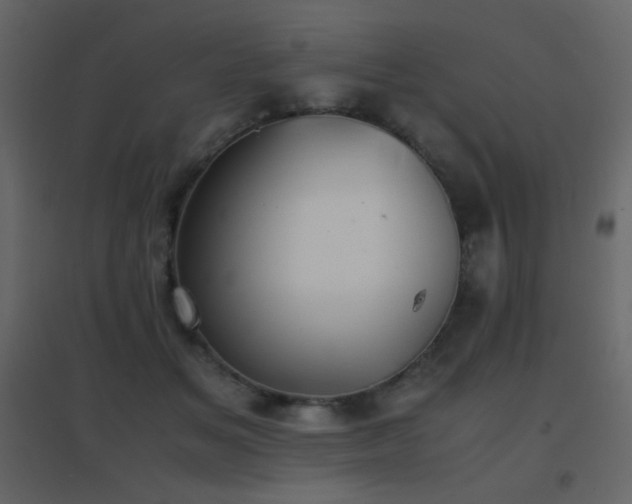 X0000096650509200802051158