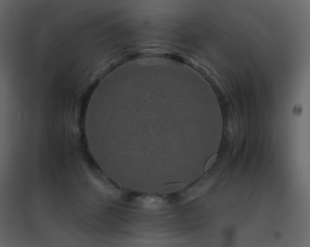 X0000096650512200802051158