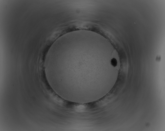 X0000096650513200802051158