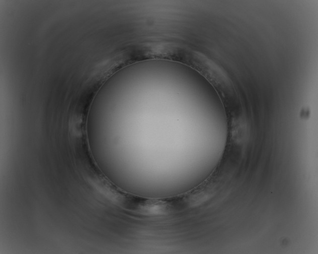 X0000096650514200802051158