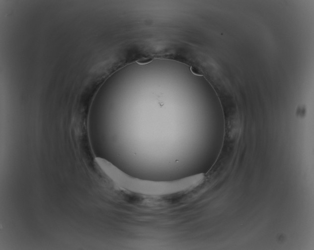 X0000096650515200802051158