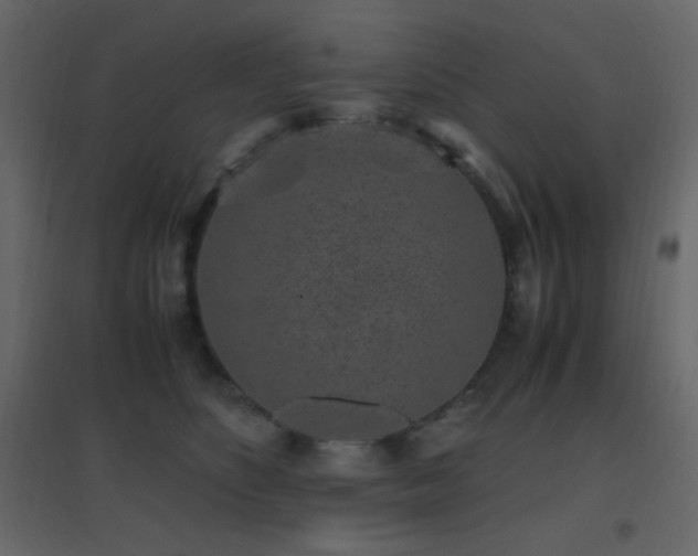 X0000096650516200802051158
