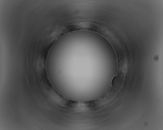 X0000096650518200802051158