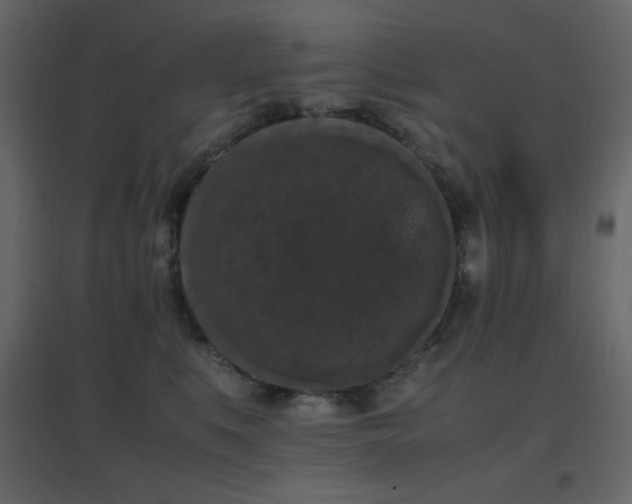 X0000096650519200802051158