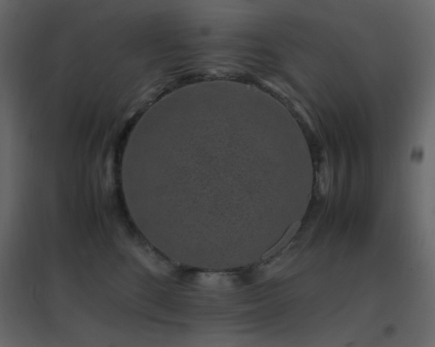 X0000096650520200802051158