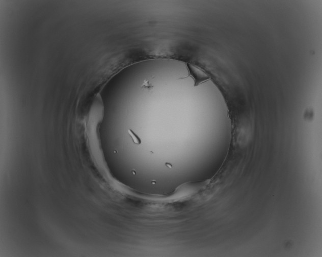 X0000096650521200802051158