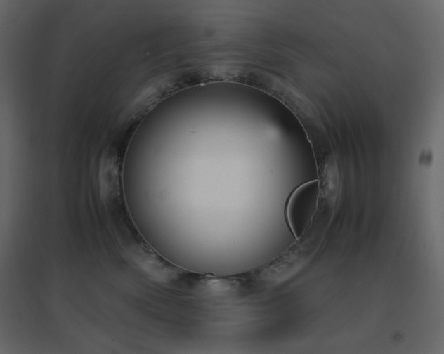 X0000096650522200802051158