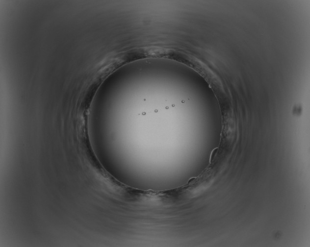 X0000096650523200802051158