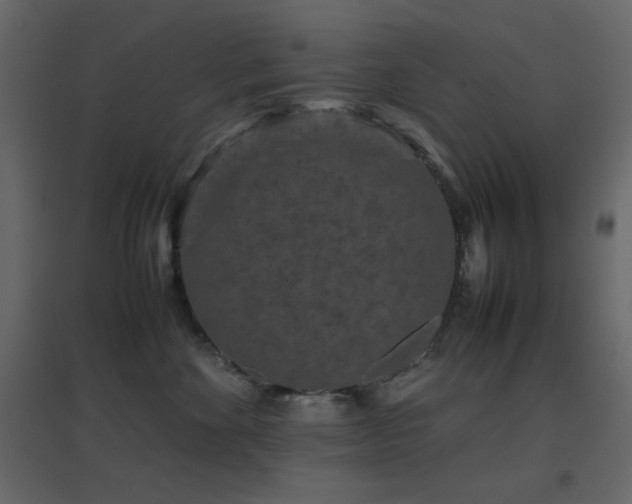 X0000096650524200802051158