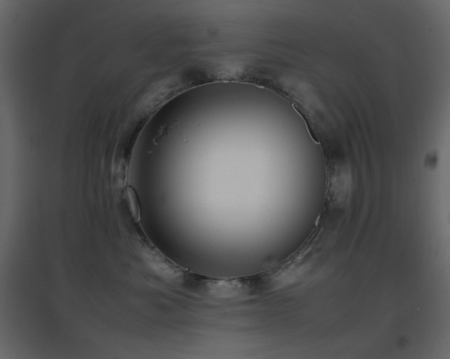 X0000096650525200802051158