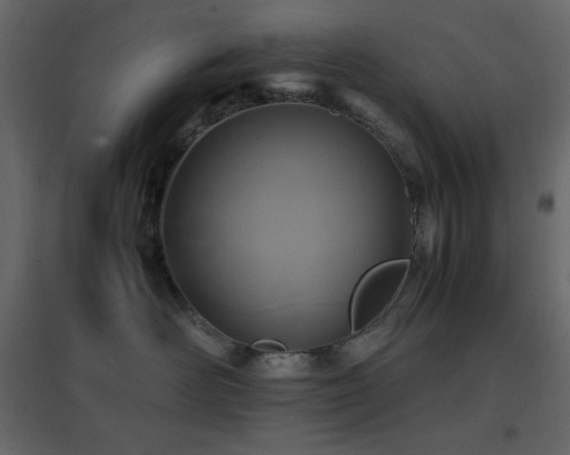 X0000096650526200802051158