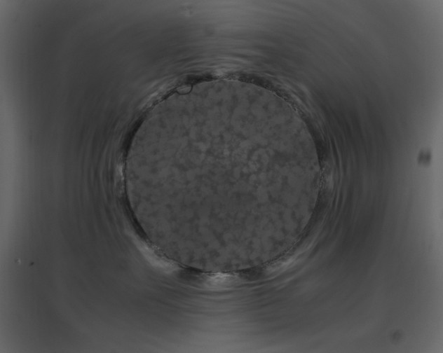X0000096650527200802051158