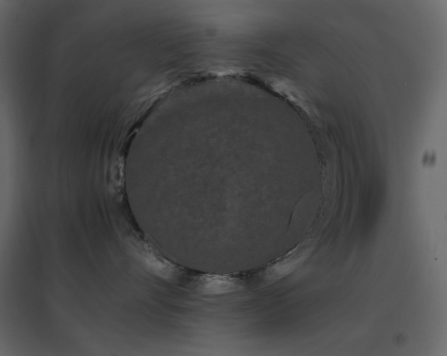 X0000096650528200802051158